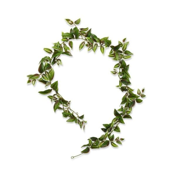 is vooral bekend om zijn brede langwerpige bladeren met donker- en lichtgroene strepen en een vleugje paars. Een bijzonder decoratieve kunstslinger met hier en daar een klein zijtakje. De lengte van de natuurgetrouw nagemaakte Tradescantia slinger is ongeveer 180 cm