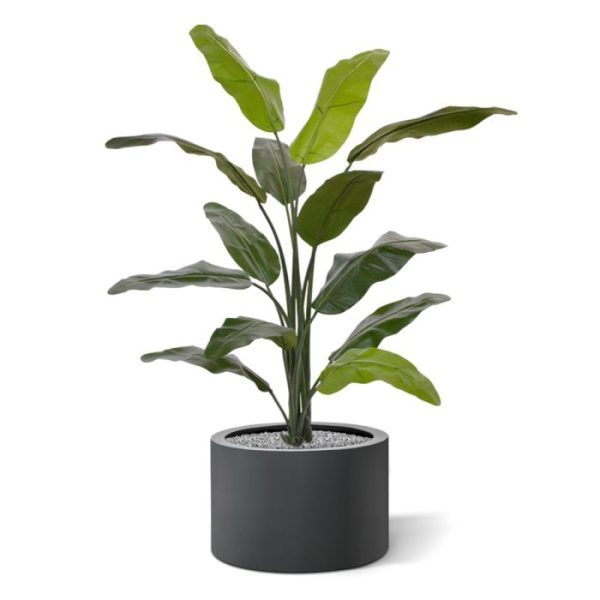 Kunstbomen op werk of in de horeca? Deze prachtige kunstzijden Traveller Palm 130 cm