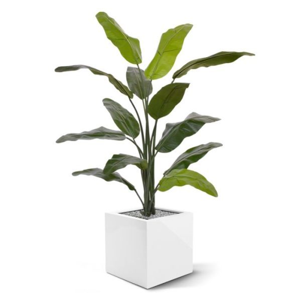 Kunstpalmen ook wel bekend onder de naam Ravenala of Reizigers Palm