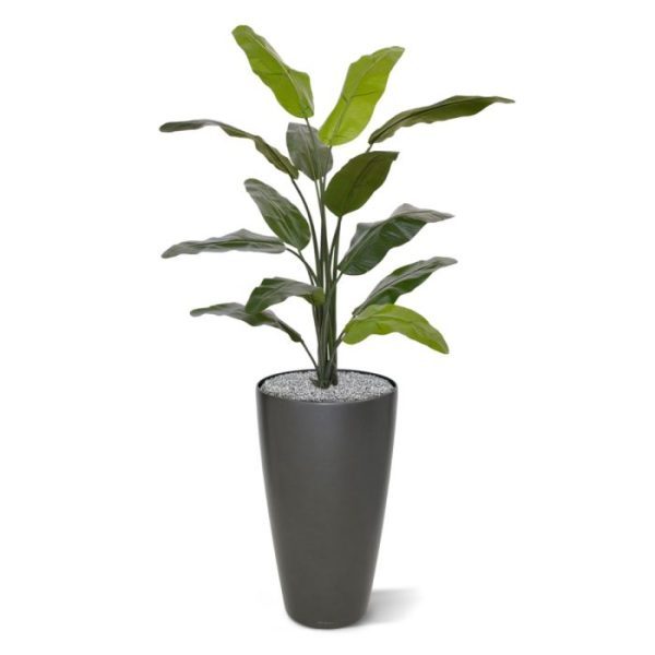 Traveller kunstpalm 130 cm Zoekt u een exotische sfeermaker in huis