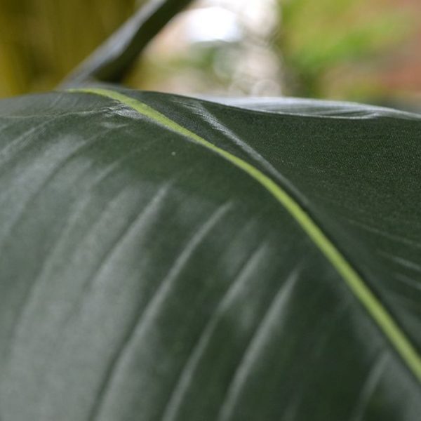 Traveller kunstpalm 165 cm 5