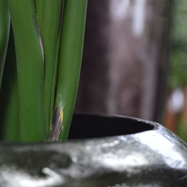 Traveller kunstpalm 165 cm 6