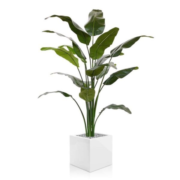 Traveller kunstpalm 165 cm 7