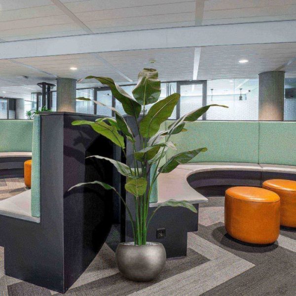 Traveller kunstpalm 165 cm 9