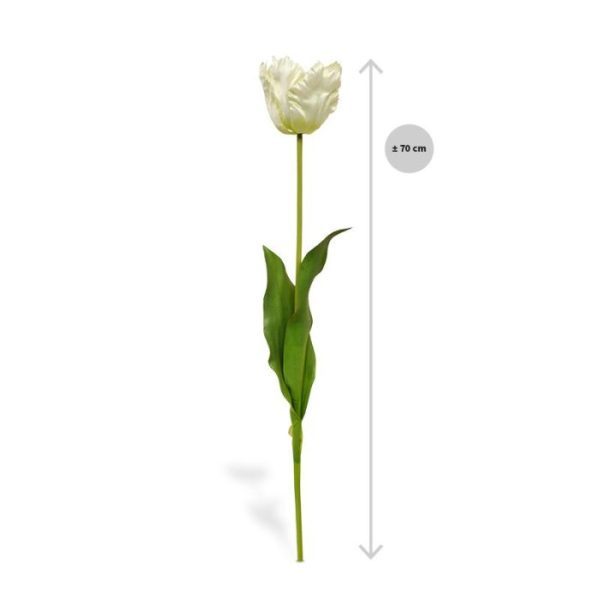 bekend uit zijn schilderijen. Deze schitterende kunst steelbloem is net echt! De Tulp is opgebouwd uit een steel met 2 echte aanvoelde bladeren en een prachtige volle bloem. De grote bloem meet ongeveer 8 tot 10 cm breed en heeft zeer verfijnd nagemaakt hart. De kunst van Gogh Tulp wordt standaard als losse steel geleverd en kan daardoor makkelijk verwerkt worden tot prachtige kunstboeketten. De steel heeft een lengte van ongeveer 68 cm en is verkrijgbaar in het rood-wit