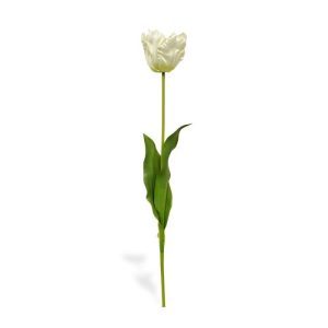 Uniek in het assortiment is deze van Gogh Tulp