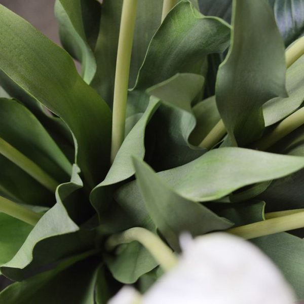 Van Gogh Tulp kunstbloem 70 cm creme 5