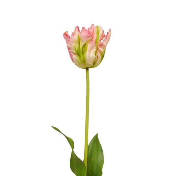 Van Gogh Tulp kunstbloem 70 cm groen roze 8