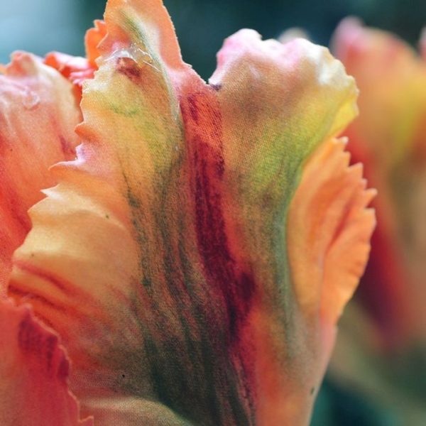 creme en oranje. Vanaf 6 stuks kunt u gebruik maken van de voordeel prijs.