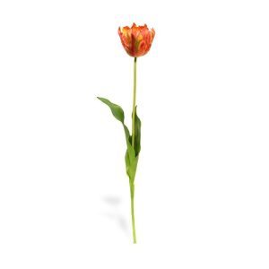 Uniek in het assortiment is deze van Gogh Tulp