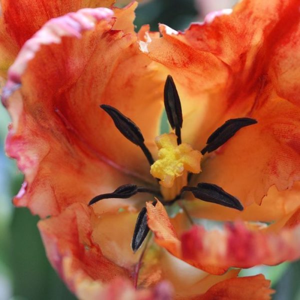 Van Gogh Tulp kunstbloem 70 cm oranje 4