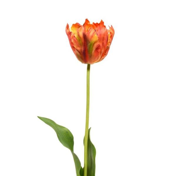 Van Gogh Tulp kunstbloem 70 cm oranje 9