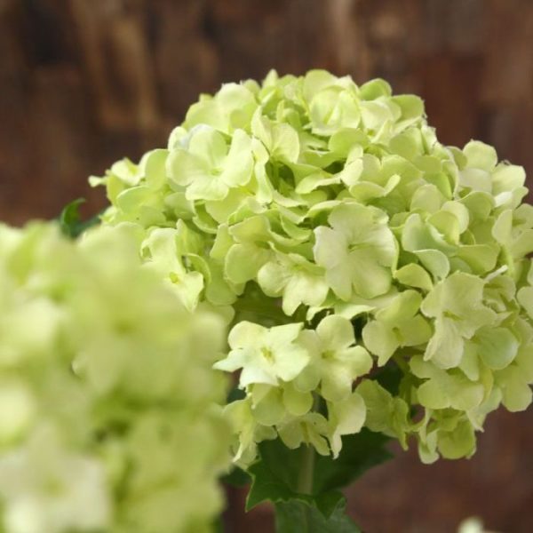 Viburnum Kunsttak 110 cm groen 3