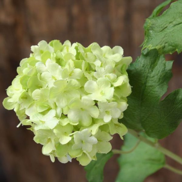 Viburnum Kunsttak 110 cm groen 4