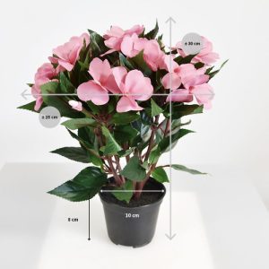 Is het roze