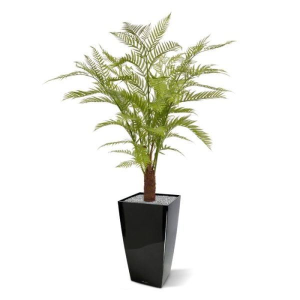 Kunstbomen Woodwardia kunstvaren 140 cm op stam 1