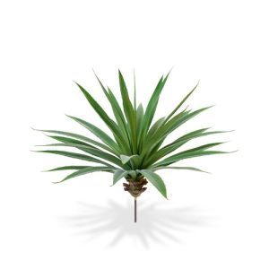 zilverachtige glans. Standaard wordt de plant geleverd als los boeket
