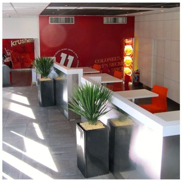 Yucca-Rostrata-80-cm-kunstplant-6 Yucca Rostrata 80 cm kunstplant 6