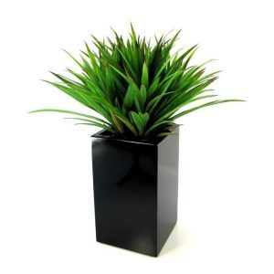 Dit Yucca Boeket is perfect te gebruiken om plantenbakken mee op te steken. Door zijn opbouw kan er eindeloos worden gevarieerd