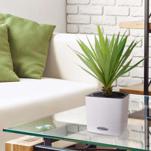 op kantoor of gewoon thuis. Deze kunstige Yucca staat op een paars-groene stam van afgestorven stelen