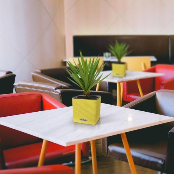 van waaruit de tientallen nieuwe