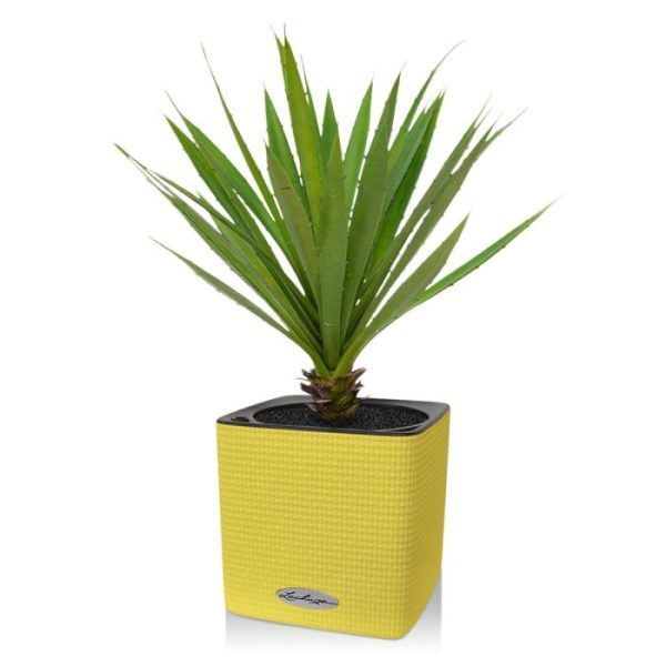 Deze schitterend nagemaakte Yucca kunstplant van 40 cm in pot is bijna niet van echt te onderscheiden. Kijk die matgroene