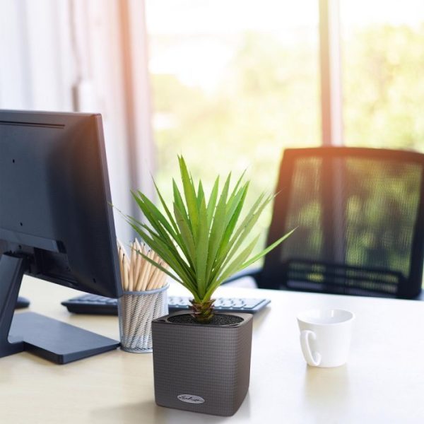 Yucca kunstplant 40 cm in pot 8