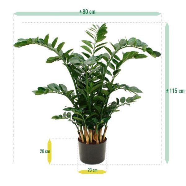 Zamioculcas XL 120 cm kunstplant 4