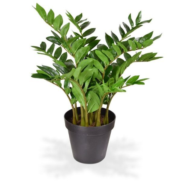 Zamioculcas kunstplant 70 cm in pot 3