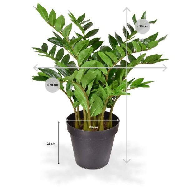 Zamioculcas kunstplant 70 cm in pot