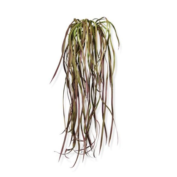 Kunst Hangplanten lukt moeiteloos met deze kunst Zeegras hangplant in warme burgundy kleur van 60 cm lengte. Kijk eens naar die levensecht en perfect gedetailleerd nagemaakte kronkelende slierten. Kijkt en voelt u maar eens goed. De kleuren die zich subtiel afwisselen