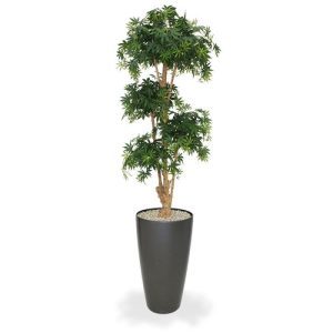 Met deze schitterende kunst Acer Bonsai Deluxe 170 cm groen haalt u direct de Oosterse sferen in huis! De Acer kunstboom ziet er zo verbluffend echt uit
