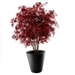Met deze schitterende Acer kunstboom haalt u de Oosterse sferen in huis! De Acer (ook wel Maple genoemd) ziet er zo verbluffend echt uit