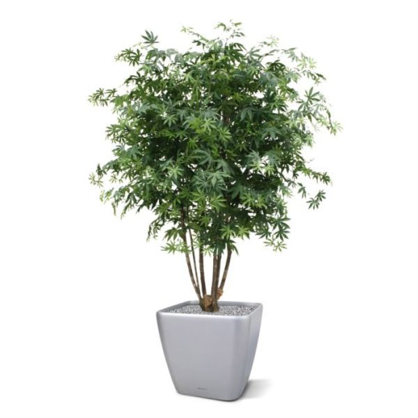 Acer Maple deluxe 165cm kunstboom groen 5