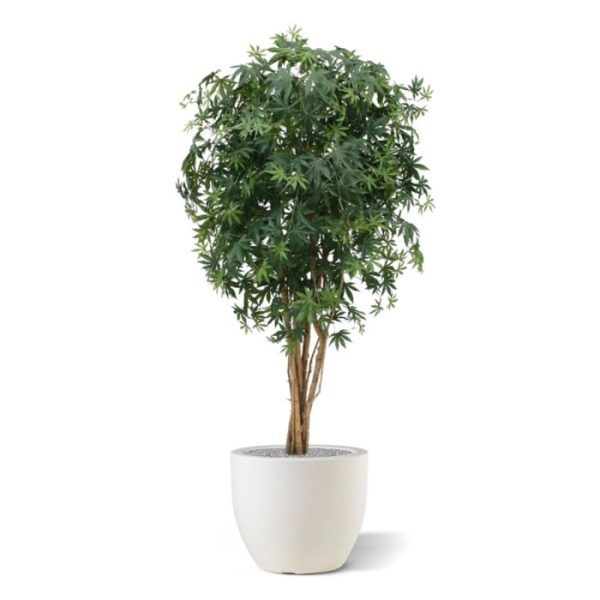 ziet er zo verbluffend echt uit