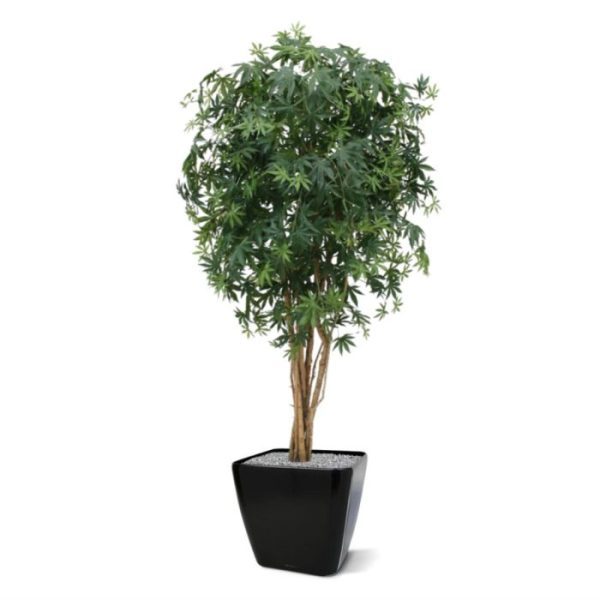 dat het lijkt alsof hij zo uit een Oosterse tuin komt. De kunstboom is gemaakt op een robuuste stamconstructie van echt hout en is bijzonder goed gevuld. Het kunstblad is natuurgetrouw nagemaakt van de echte Acer in een mix van verschillende groentinten. De semi kunstboom is ongeveer 160 cm hoog