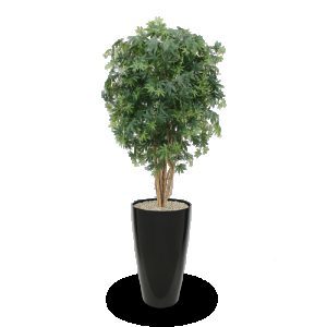 Met deze schitterende Acer kunstplant haalt u Oosterse sferen in huis! De Acer