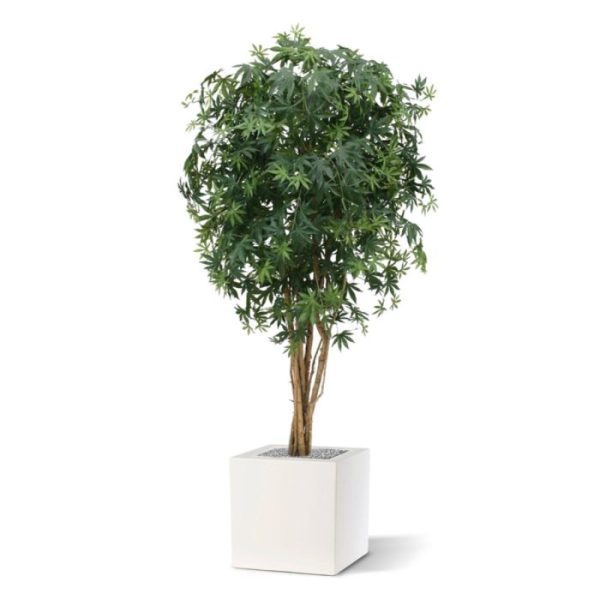 heeft een diameter van ongeveer 90 cm en wordt standaard in een plastic pot geleverd