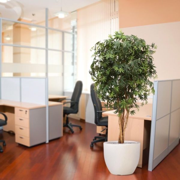 Acer kunstplant 160 cm groen 6