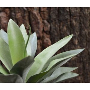 Zeer mooi nagemaakt Agave kunstboeket