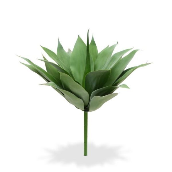 Agave Boeket 50 cm 7