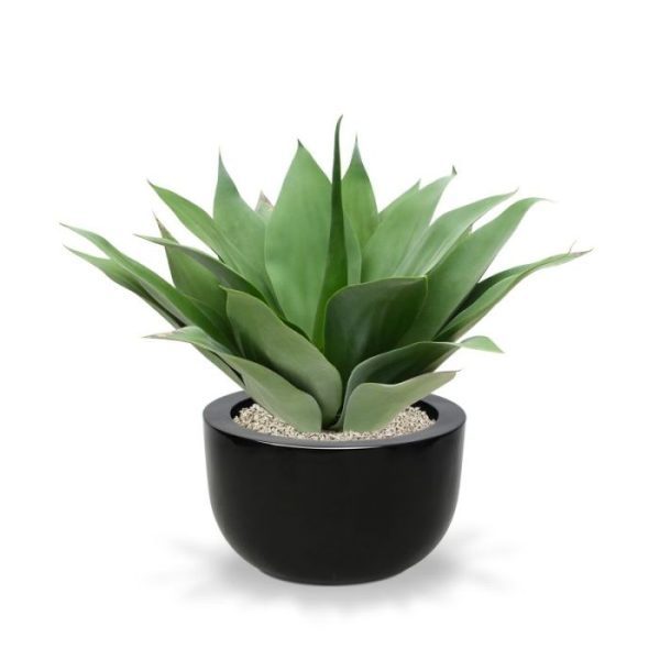 Agave Boeket 50 cm 8