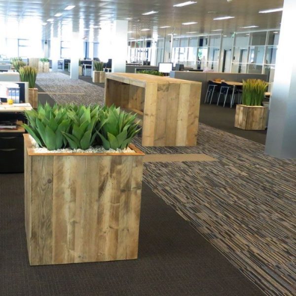 Agave Boeket 50 cm 9