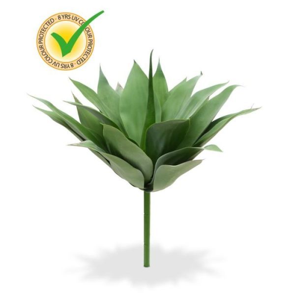 Agave Boeket 50 cm UV 10