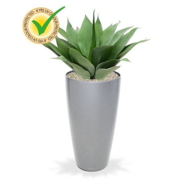Agave Boeket 50 cm UV 4