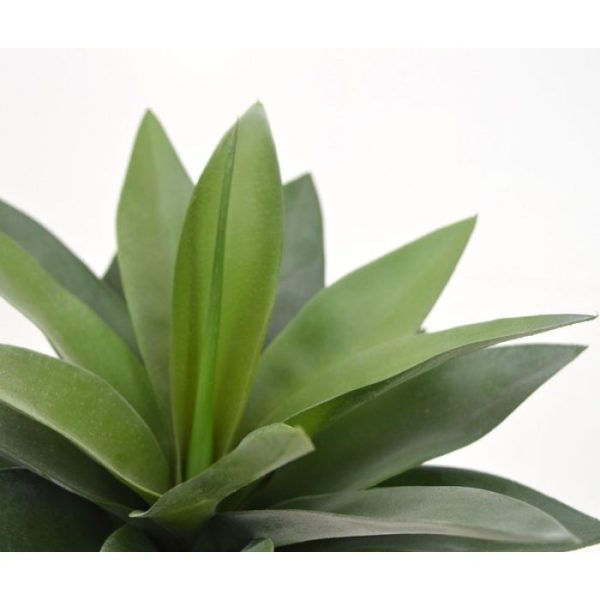 Kunstplanten afkomstig uit de Cactus familie. Met deze kunstplant creëert u in een handomdraai een tropisch 'look' die perfect op de vensterbank past. De Agave wordt ook veel in zwembaden gebruikt.  De diameter van de kunst Agave is circa 25 cm en de totale