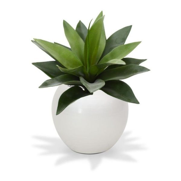 Groene kunstplanten dus inclusief potje is hoogte ongeveer 25 cm.   De kunstplant wordt standaard geleverd in een 10 cm kweekpotje