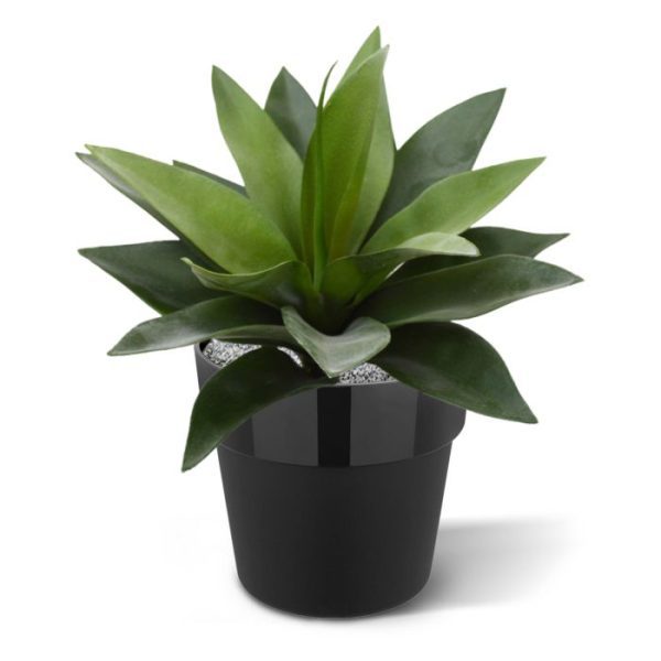 Agave-kunstplant-25-cm-in-10-cm-pot-3 zodat deze gemakkelijk in de door u gewenste pot te plaatsen is.  De Agave is tevens leverbaar in 30