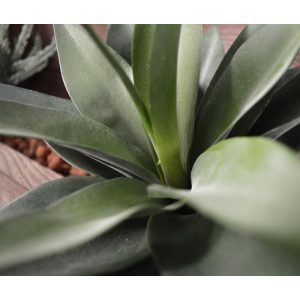 Zeer mooi nagemaakt Agave kunstboeket