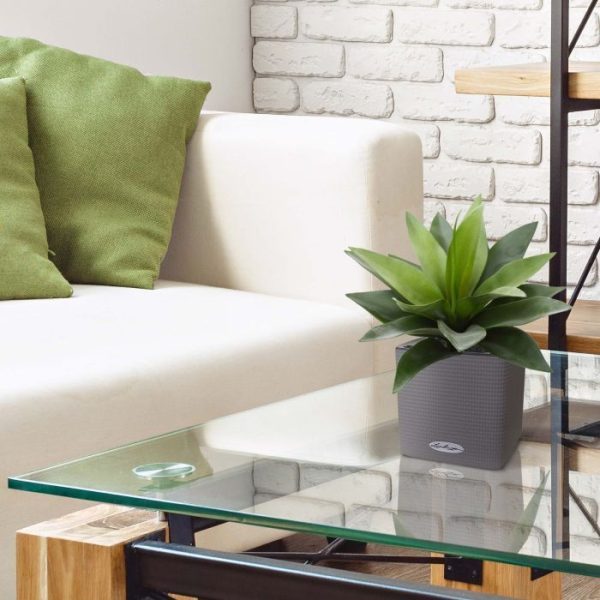 Agave-kunstplant-25-cm-in-10-cm-pot-7 Agave kunstplant 25 cm in 10 cm pot 7